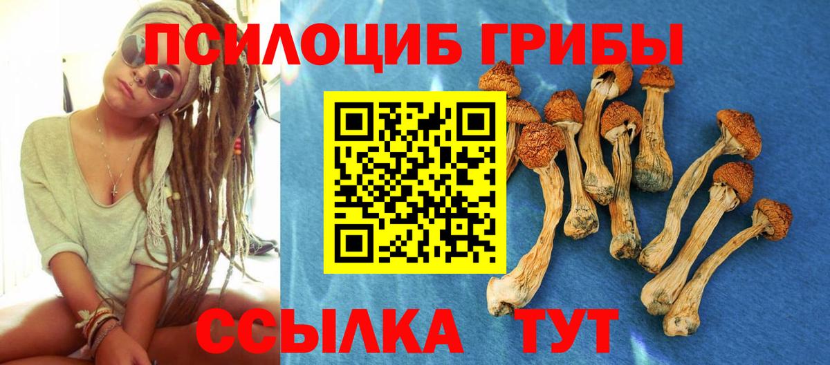 Сафоново  купить наркотик  Вход с VPN  Галлюциногенные грибы Cubensis 